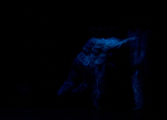 McCallum Dance 2004-09