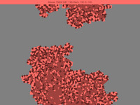 Lichens#1