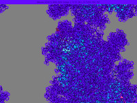 Ring Tracer/Meanderer