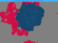 Lichens#4