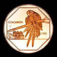 Brass Macaw