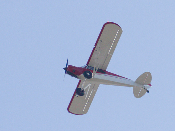 N311BL