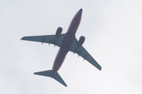 N7812G