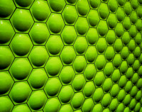 green walls of BART