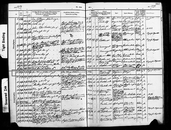 Sør-Trøndelag county, Bakklandet (Bakke), Parish register (official) nr. 604A19 (1893-1900), Death and burial records 1899, page 237