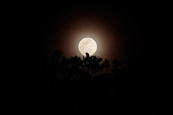 Before the Eclipse