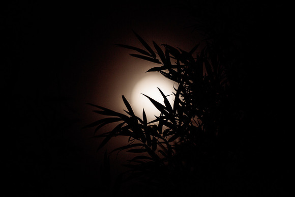 Before the eclipse