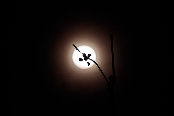 Before the eclipse