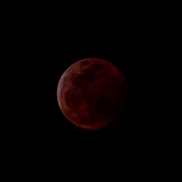 Total Eclipse