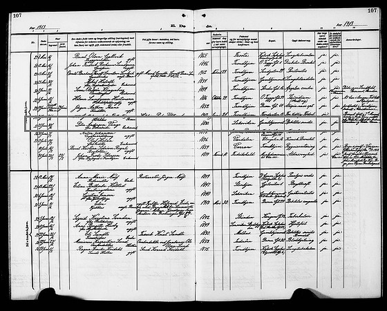 Sør-Trøndelag county, Vår Frue kirke in Trondheim, Parish register copy nr. 602C15 (1911-1924), Death and burial records 1913, page 107