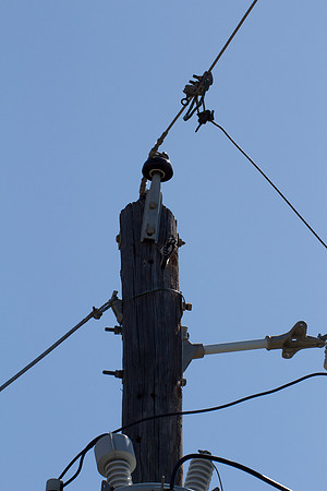 Woodpecker